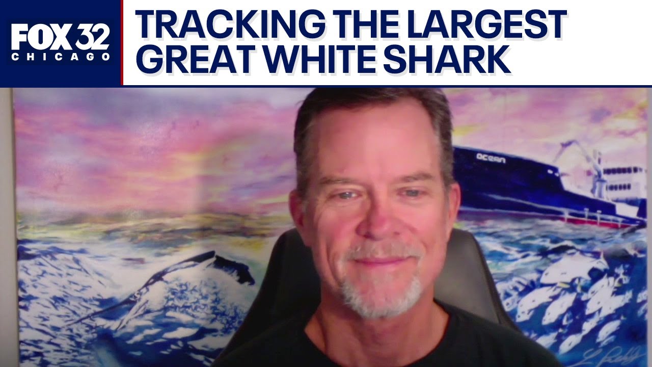 OCEARCH founder Chris Fischer on tracking the largest great white shark off the East Coast | Chicago