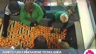 AGRICOLTURA E INNOVAZIONE TECNOLOGICA