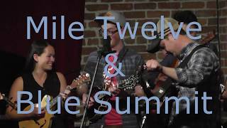 Mile Twelve and AJ Lee & Blue Summit - Live and Let Live chords