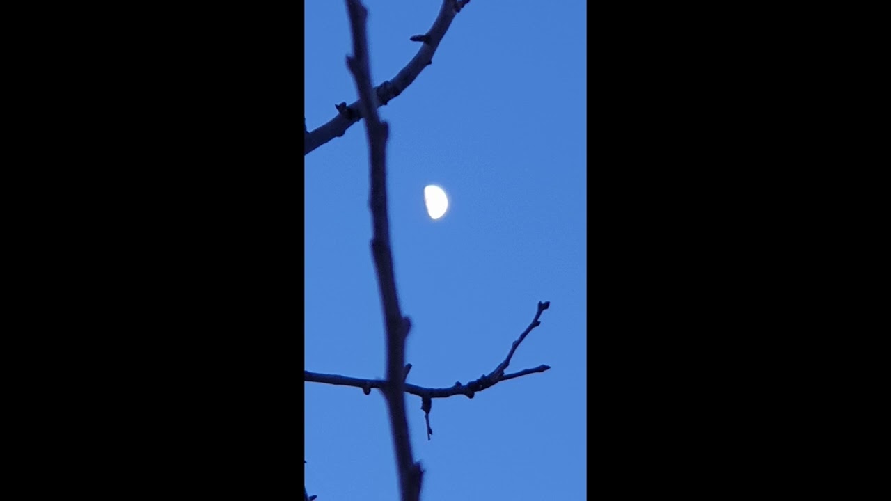 The Hiienkoskis, Till Månen