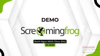 Demo Screaming Frog | Công Cụ Phân Tích SEO & Kiểm Tra Website Chi Tiết | Chaubnm3