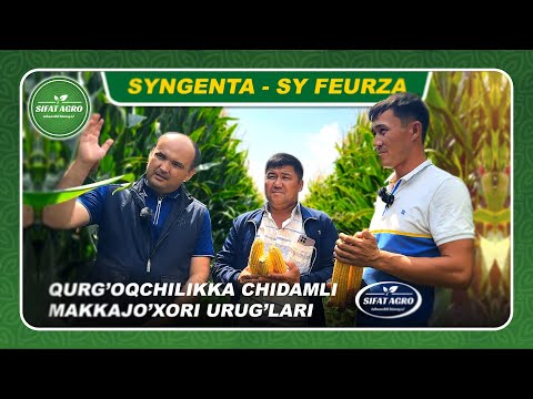 Hayvon va qiz jinsiy aloqa