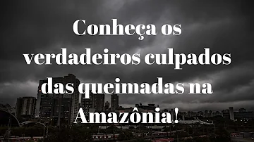 De quem é a culpa das queimadas na Amazônia?