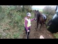 Helping a(nother) Horse Rider