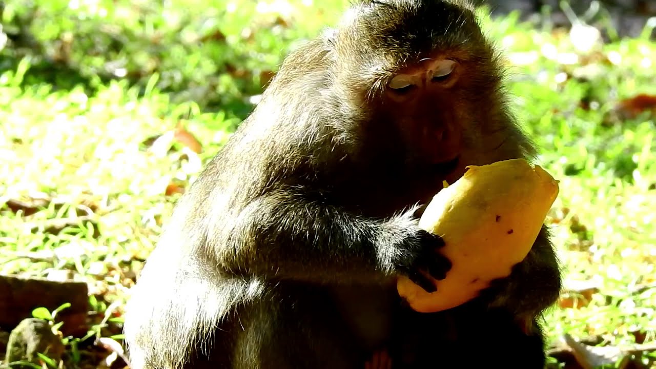 OMG!! Just born baby Dax cries seizure! Why newborn cry very loudly? He angry mum not care!?