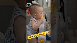 크아아아아앙🐲#shorts #쇼츠 #인기릴스 #아기 #아기영상 #baby #babyboy #babylife #cute #cutebaby #아들