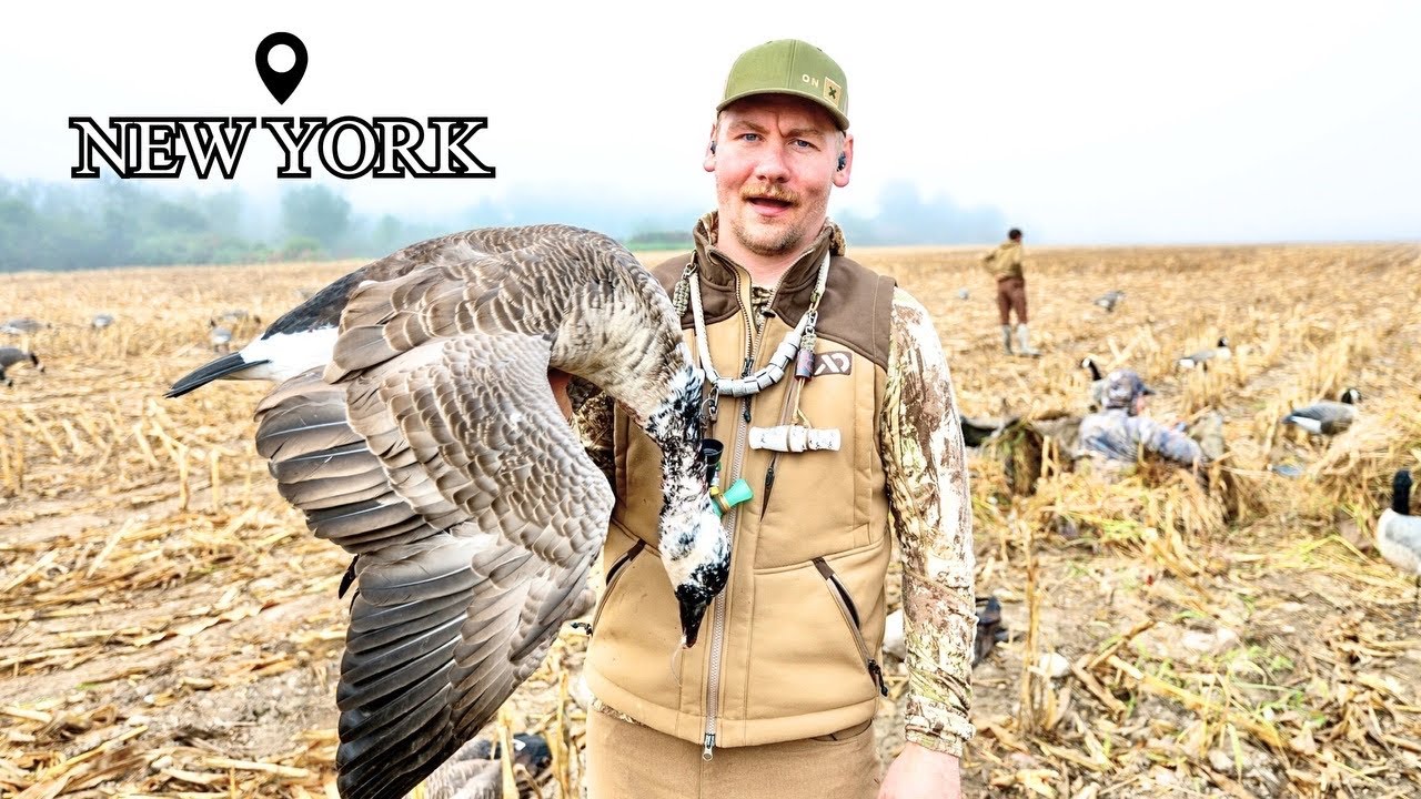 Goose Hunting in New York (CRAZY FOG)