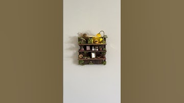 The fairy shelf is finally done!! What should I do next? #miniatures #miniature #fairy