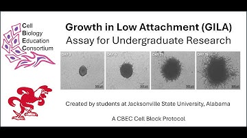 Spheroid Formation. Growth in Low Attachment (GILA) Assay for Undergraduate Research.