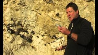 Overstrand Cliffs