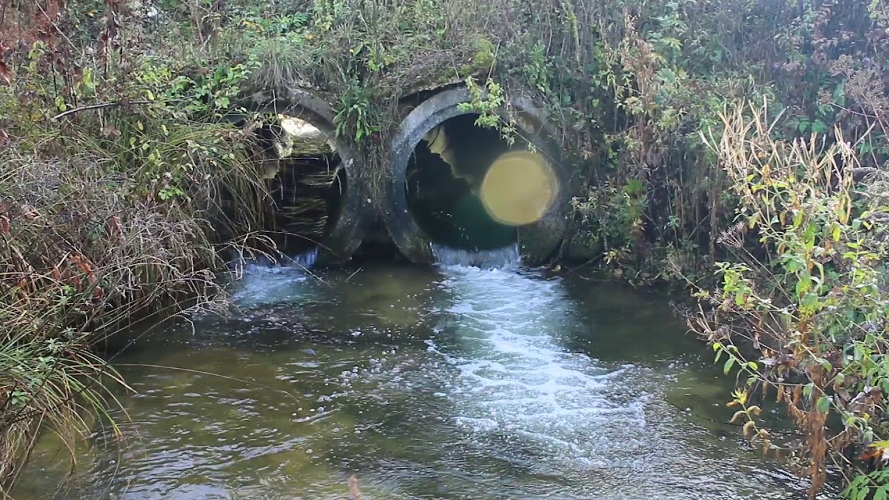 Restaurer la continuité écologique du ruisseau des Martins (Saint-Laurent-en-Grandvaux)