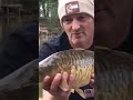 CAUGHT WITHIN 2 MINS OF SETTING UP