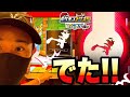 でた！！ダイマックスエースバーン！《スーパータッグ1だん》 ついに・・・？！ ポケモンメザスタ！ ダイマックスバトル！ ゲーム実況！ Pokemon