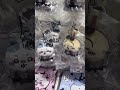 Chiikawa Marui Department Store Kawaii Items #shorts #youtubeshorts #trending #chiikawa #japan #yt