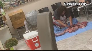 PHOTO | Deer Butchered in the Middle of NC Nail Salon, Customer Says