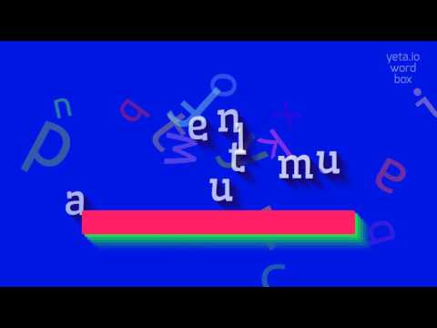 AMENTULUM - HOW