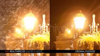 Real Particles Bundle 2 (Heavy Particles)
