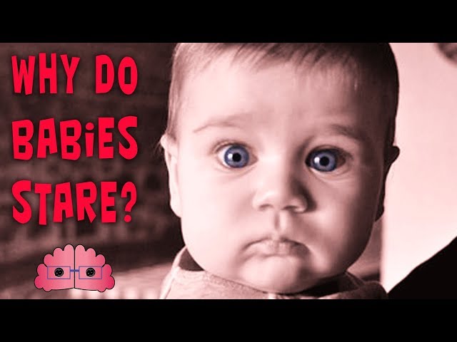 Why Do Babies Stare At You? | OmniLearners - YouTube Why Do Babies Stare At You? | OmniLearners - YouTube