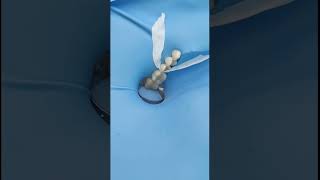HOW TO RESTORE POSTERIOR TEETH QUADRANTS UNDER RUBBER DAM ISOLATION