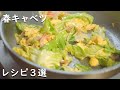 春キャベツ 厳選3品 包丁使わず 激うま 3 レシピ【キャベツ レシピ 3選】