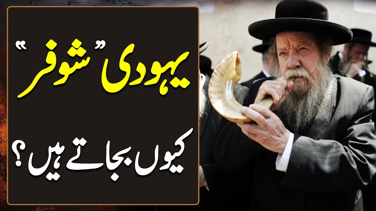 Jesish Instruments Shofar Jewish Religious Instrument | History Of Shofar | Haqeeqat Jano ...