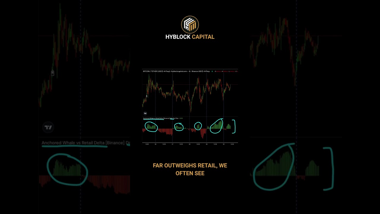 Whale Dominance Building Again? Watch BTC Closely 👀 - YouTube