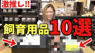 【激推し！！】これがオススメしたいクワカブ飼育用品１０選だ！！！