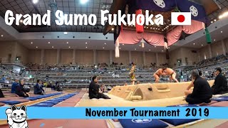 Grand Sumo Fukuoka 🇯🇵🎏🎎 #grandsumo by Lucky Cat Adventures 😺 147 views 4 years ago 2 minutes, 13 seconds