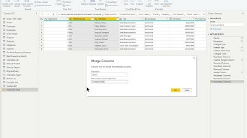 Video 17: Microsoft Power BI Merge Columns