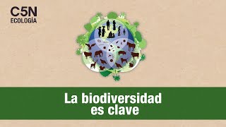 QUÉ es LA BIODIVERSIDAD y CÓMO PROTEGERLA