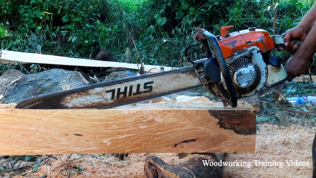 STIHL Chainsaw Woodworking Cutting Skill! Best Cutting Trees In Forest ...