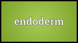 Endoderm Meaning