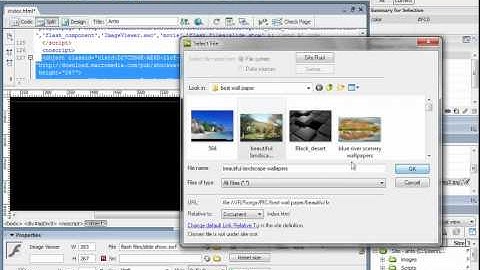 DW Web designing in Tamil part-4