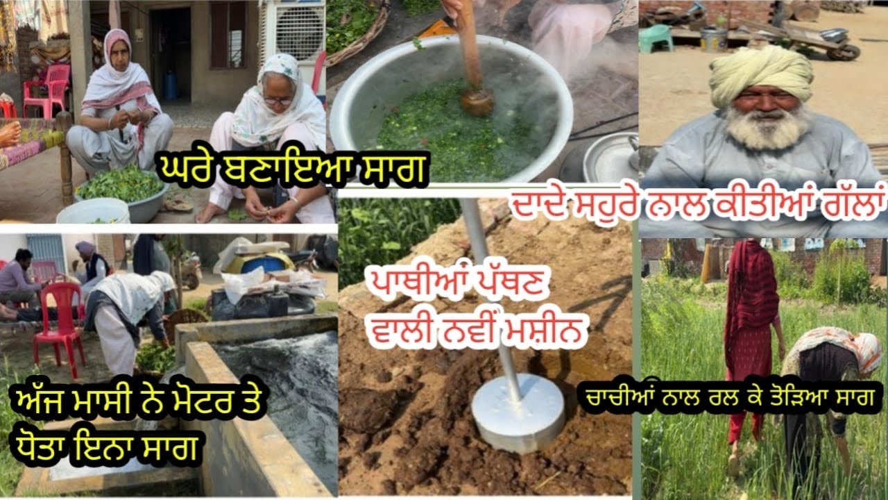 ਪਿੰਡ ਦੀਆਂ ਯਾਦਾਂ ਤੇ ਖੇਤਾਂ ਦੀ ਰੌਣਕ 🌾 | Pendu Life Vlog@dhanaulacouplevlogs 