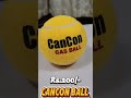 Dolphin Ball #onlineshopping #easyhome | EASY HOME