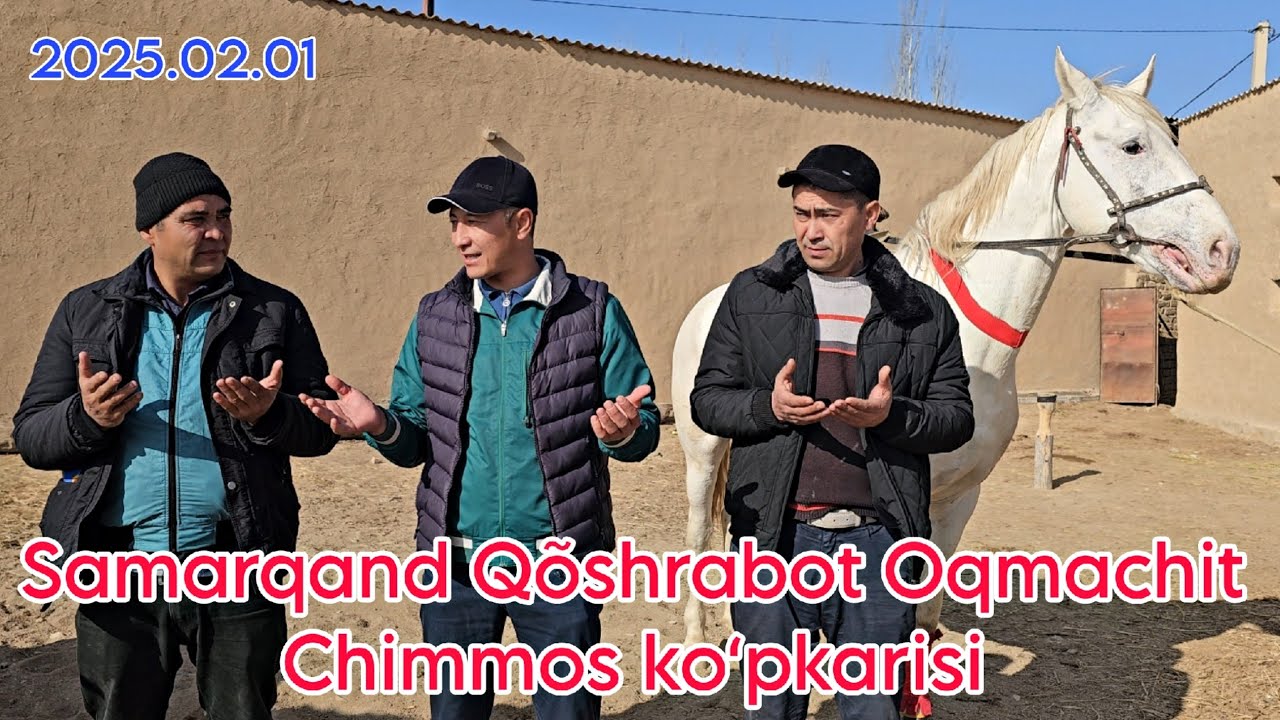 Samarqand Qo'shrabot Oqmachit Chimmos ko‘pkarisi 2025.02.01 @Alisher_24