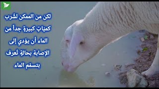 خطورة شرب الماء بكميات كبيرة