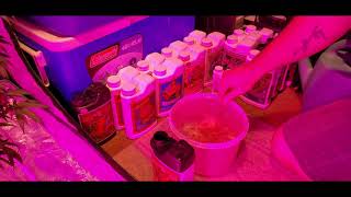 Proud Canadian Cannabis Appreciates You!! Week 7-8 feeding adjustment before flushing begins!!