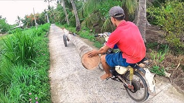 Chuyển Cây Dừa Bằng Hai Bánh Xe Quá Đẳng Cấp
