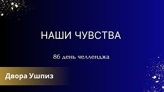 Наши чувства - 86 день челленджа "Утро с Дворой"