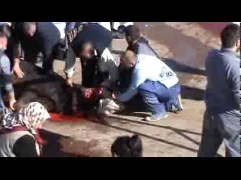 Kurban Kesimi 2013  KKB  38  Slaughter sheep women kill