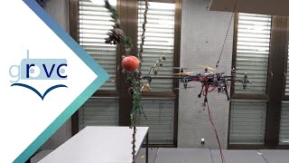 How to Shake Trees With Aerial Manipulators A Theoretical and Experimental Study