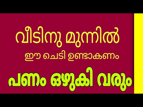 വീടിനു മുന്നിൽ ഈ ചെടി ഉണ്ടെങ്കിൽ പണം ഒഴുകി വരും Astrology Malayalam