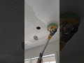 Dewalt Drywall Sander Construction Satisfying Tapingdrywall Drywallfinisher Drywall Taping 
