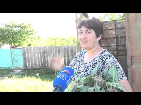 ერგნეთის მოსახლეობის ნაწილმა არჩევნებში მონაწილეობა ვერ მიიღო