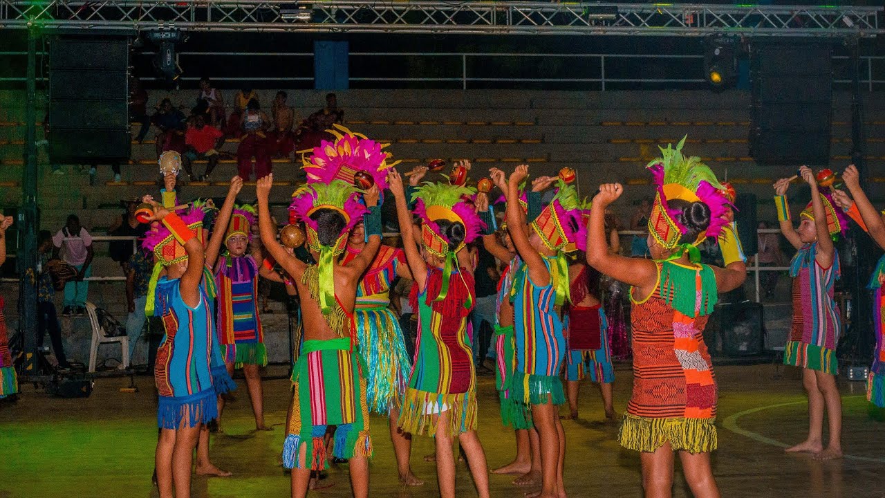 DANZARTE - INDIOS FAROTOS 2024