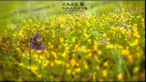 How to publish status on linkedin in PHP