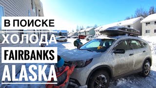 видео: Мороз и Солнце Фэрбанкс Аляска Гостим у Блогера Дядя Ваня Горячие Источники Ледяные Фигуры Fairbanks картинка: Мороз и Солнце Фэрбанкс Аляска Гостим у Блогера Дядя Ваня Горячие Источники Ледяные Фигуры Fairbanks
