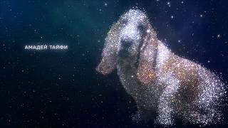 Звездная семерка из Перми Звездная семерка из Перми