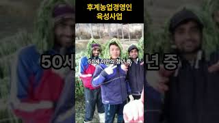 후계농업겨영인육성사업#후계농업경영인 #청년농업인 #농업창업지원 #영농정착 #농촌미래 #농업지원사업 #청년귀농 #농업정책 #농촌청년육성 #창업농지원